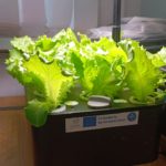 638247753_1582163553063490_6112888217687368893_n