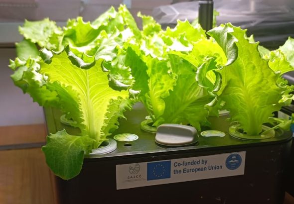 638247753_1582163553063490_6112888217687368893_n