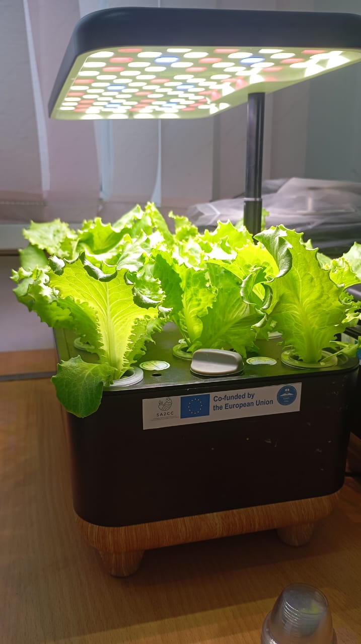 638247753_1582163553063490_6112888217687368893_n